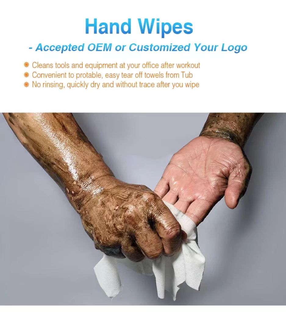  Multi-Surface Cleaning and Sanitizing Wipes